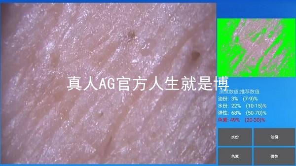 真人AG官方人生就是博